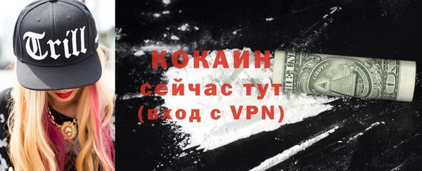 индика Кукмор