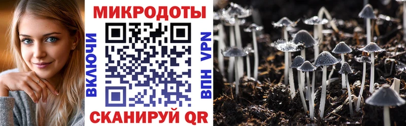 kraken ССЫЛКА  Тимашёвск  Галлюциногенные грибы Psilocybe  закладки 